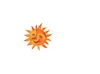 Sole.jpg