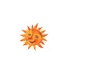 Sole.jpg