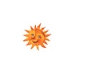 Sole.jpg